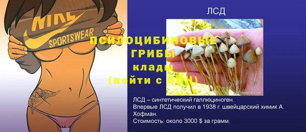 эйфоретик Алзамай