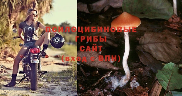 твердый Абаза