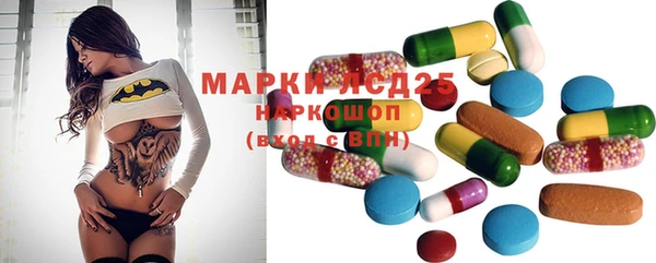 эйфоретик Алзамай