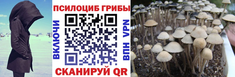 Псилоцибиновые грибы GOLDEN TEACHER Осташков