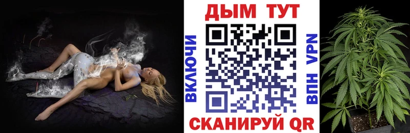 наркотики  Осташков  kraken как войти  Каннабис индика 
